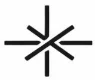 RuggedAxis Logo